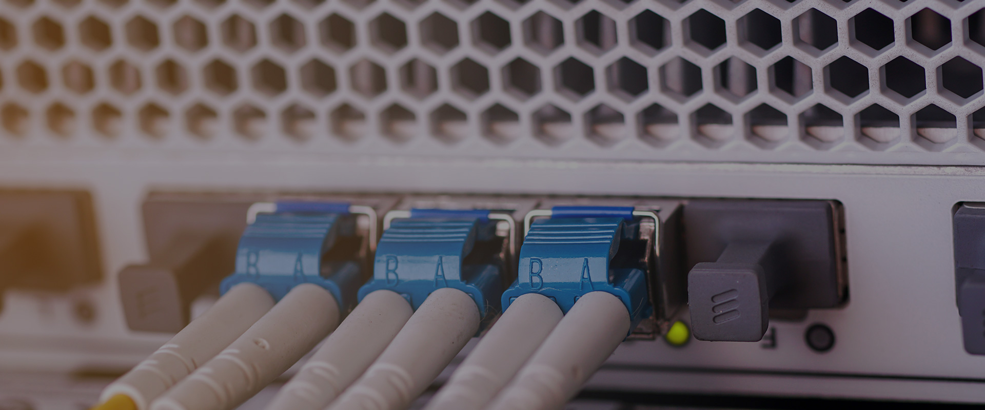 NetFoundry